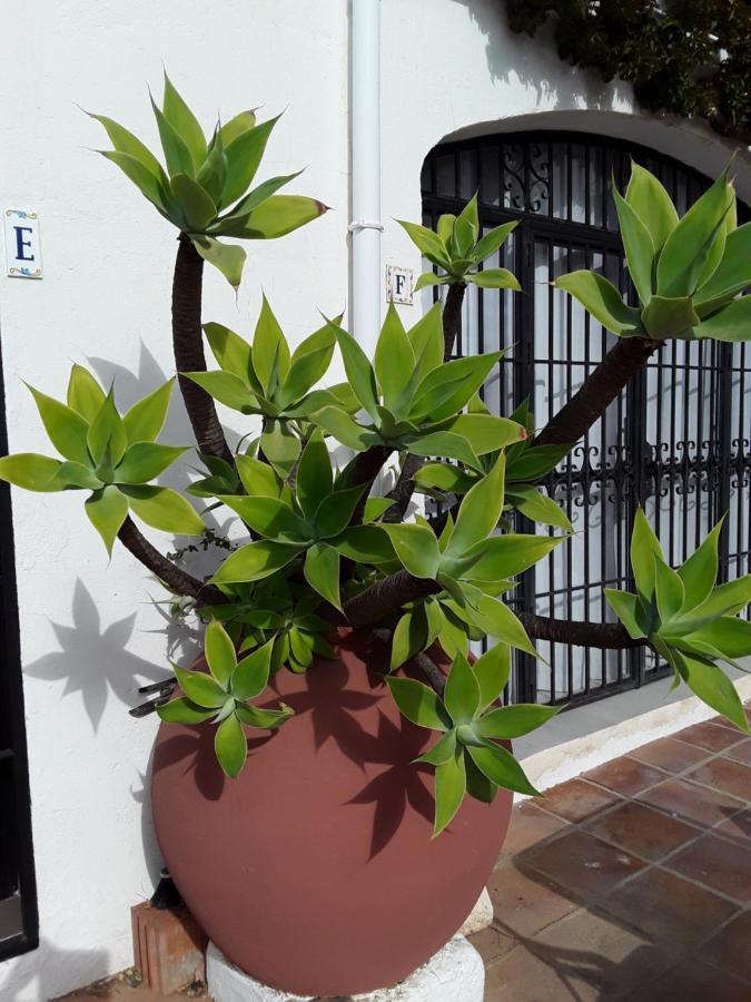 Dona Lola , Luminoso Apartamento Calahonda, Mijas Sitio de Calahonda Exterior foto